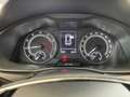 Skoda Kamiq Style 1.0 TSI Spurhalteassistent Blau - thumbnail 12