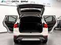 BMW X1 sDrive20i AUT. SPORT-L. NAVI+ HUD RFK DR.ASS Weiß - thumbnail 10