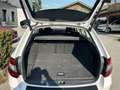 Skoda Octavia Style Limited *LED*ACC*KEYLESS*L-HZG*17'' Weiß - thumbnail 7