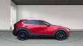 Mazda CX-30 (2022) e-SKYACTIV-X 2.0 186CV MT 2WD HOMURA Rojo - thumbnail 6