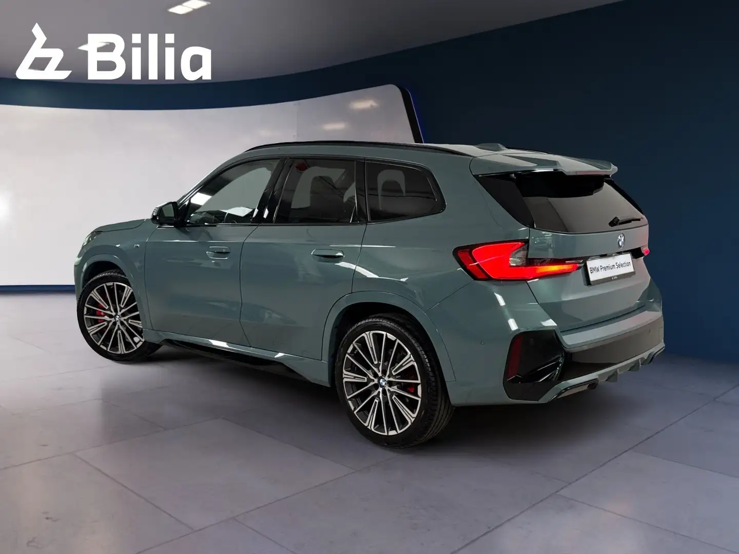 BMW X1 xDrive20d Head-Up HK HiFi DAB Vert - 2