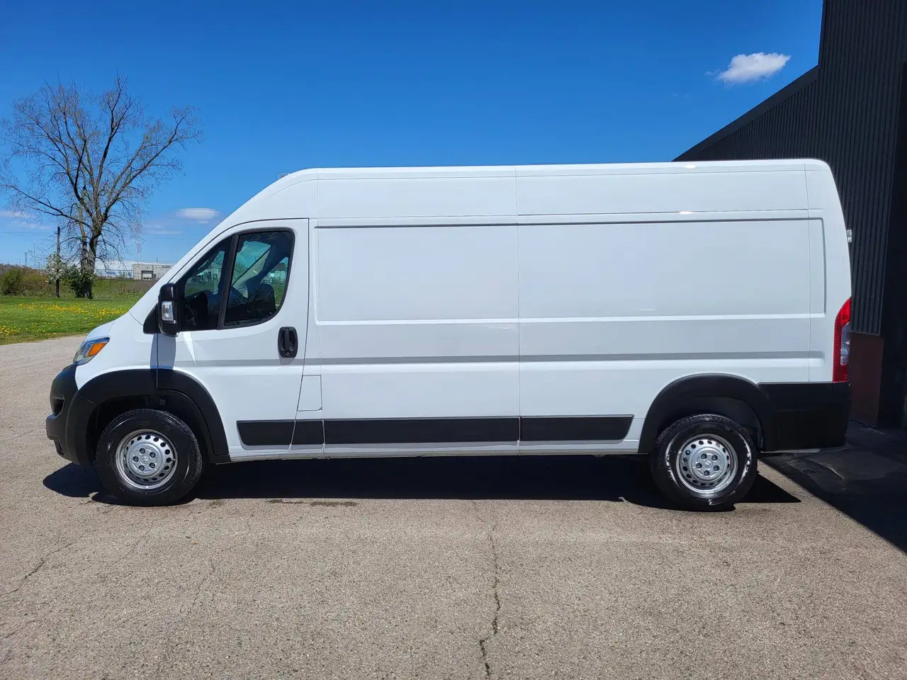 RAM Promaster снимка RAM Promaster