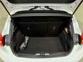 Ford Focus 1.5 EcoBoost ST Line Pano ACC CarPlay Winterpack Weiß - thumbnail 48
