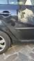 Volkswagen Golf Sportline Schwarz - thumbnail 4