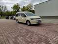 Volkswagen Caddy Taxi Maxi 2.0 TDI+122Ps+DSG+RFK+LED+Standh Beige - thumbnail 24