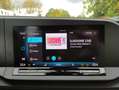 Volkswagen Caddy Taxi Maxi 2.0 TDI+122Ps+DSG+RFK+LED+Standh Beige - thumbnail 4