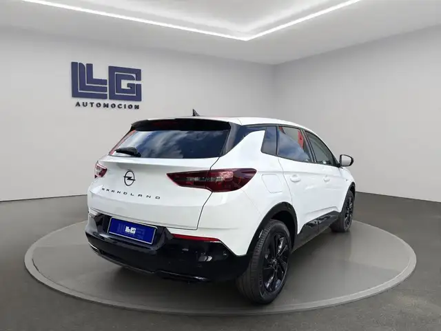 Opel Grandland view 5