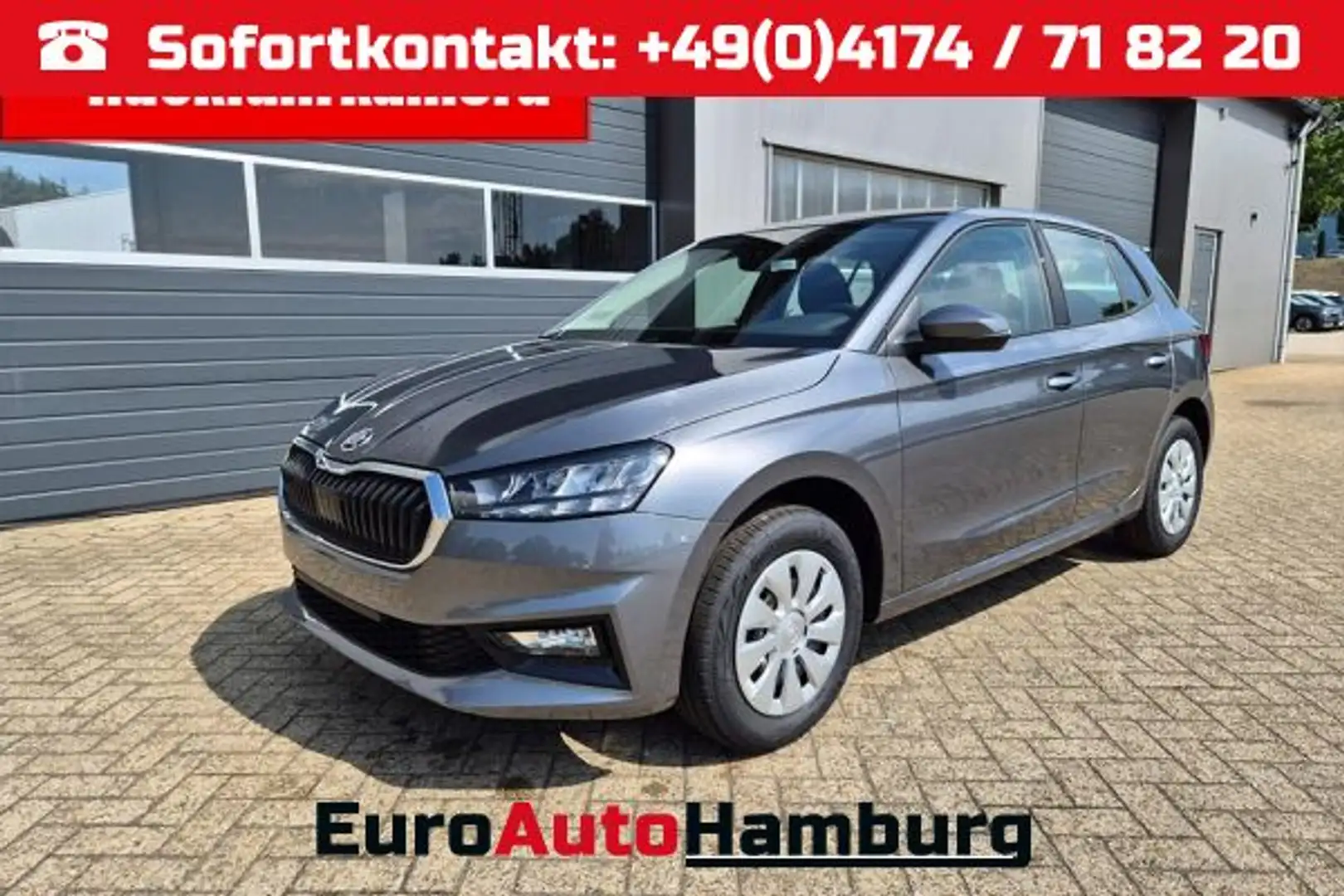 Skoda Fabia 1.0 TSI 115PS DSG Selection 5-türig Rückf.Kamera P Grijs - 1