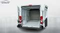 Opel Movano C 2,2 CDTi L2H2 3500 270 DAB Einparkhilfe Weiß - thumbnail 9