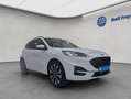 Ford Kuga 2.5 Duratec PHEV ST-LINE X *20'' FELGEN* Blanc - thumbnail 8