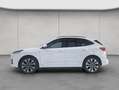 Ford Kuga 2.5 Duratec PHEV ST-LINE X *20'' FELGEN* Blanc - thumbnail 2