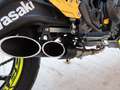 Kawasaki Ninja 650 Performance Venom Neon Carespagne A2 Blau - thumbnail 13