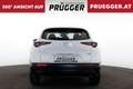 Mazda CX-30 Skyactive Autom Comfort+ KEYLESS NAVI HUD 18ZOLL Weiß - thumbnail 6