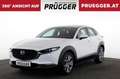 Mazda CX-30 Skyactive Autom Comfort+ KEYLESS NAVI HUD 18ZOLL Weiß - thumbnail 1