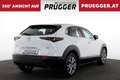 Mazda CX-30 Skyactive Autom Comfort+ KEYLESS NAVI HUD 18ZOLL Weiß - thumbnail 5