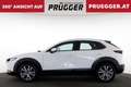 Mazda CX-30 Skyactive Autom Comfort+ KEYLESS NAVI HUD 18ZOLL Weiß - thumbnail 8