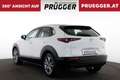 Mazda CX-30 Skyactive Autom Comfort+ KEYLESS NAVI HUD 18ZOLL Weiß - thumbnail 7