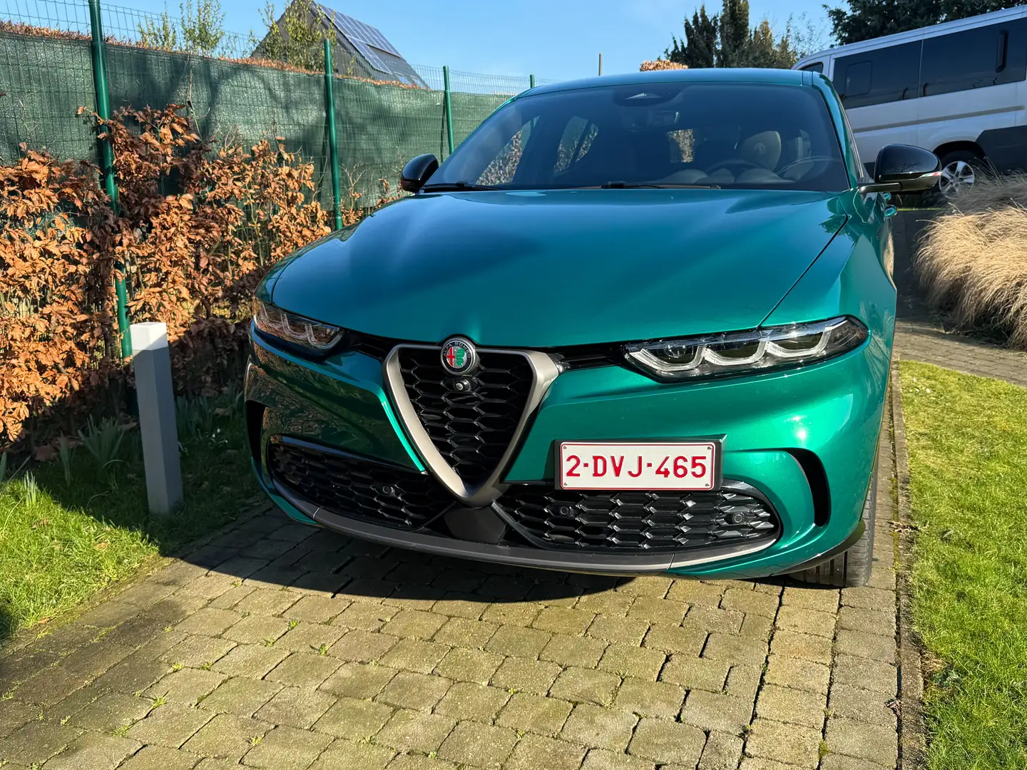 Alfa Romeo Tonale Tonale 1.3 VGT Plug-In-Hybrid Q4 Edizione Speciale Vert - 2