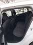Ford Focus Traveller 1,5 EcoBlue Active Business - thumbnail 2