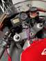 Honda CBR 900 HONDA CBR900RR FIREBLADE Rood - thumbnail 8