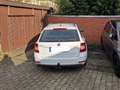 Skoda Octavia Octavia Combi 1.5 TSI ACT DSG Ambition Weiß - thumbnail 8