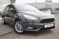 Ford Focus Turnier 1.6 Ti-VCT AAC SHZ Temp. NSW Alu Grau - thumbnail 7
