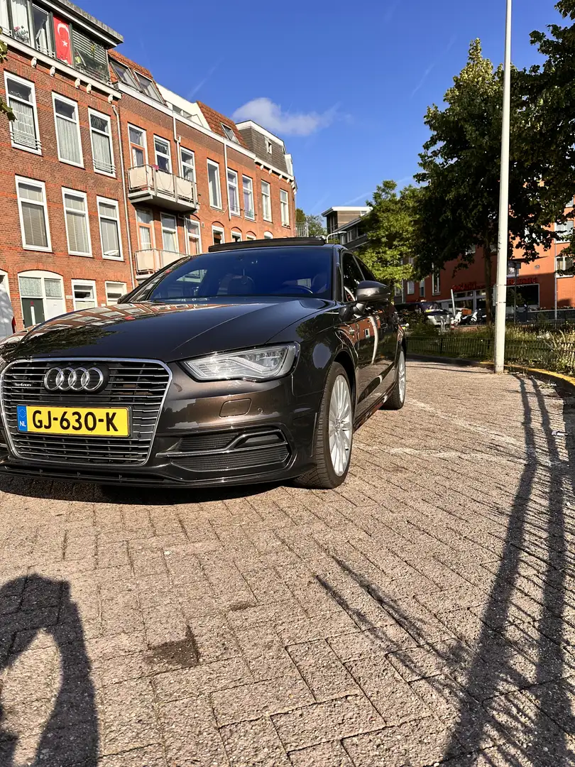 Audi A3 1.4 Amb. PL+ Bruin - 1