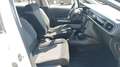 Citroen C3 BlueHDi 100 S&S Business Combi 4 Posti N1 Blanc - thumbnail 16