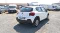 Citroen C3 BlueHDi 100 S&S Business Combi 4 Posti N1 Bianco - thumbnail 6