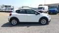 Citroen C3 BlueHDi 100 S&S Business Combi 4 Posti N1 Bianco - thumbnail 5