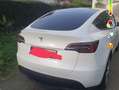 Tesla Model Y Blanc - thumbnail 2