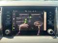 Skoda Karoq 4x4 Selection TDI DSG Rot - thumbnail 14
