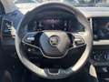 Skoda Karoq 4x4 Selection TDI DSG Rot - thumbnail 9