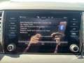 Skoda Karoq 4x4 Selection TDI DSG Rot - thumbnail 18