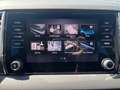 Skoda Karoq 4x4 Selection TDI DSG Rot - thumbnail 13