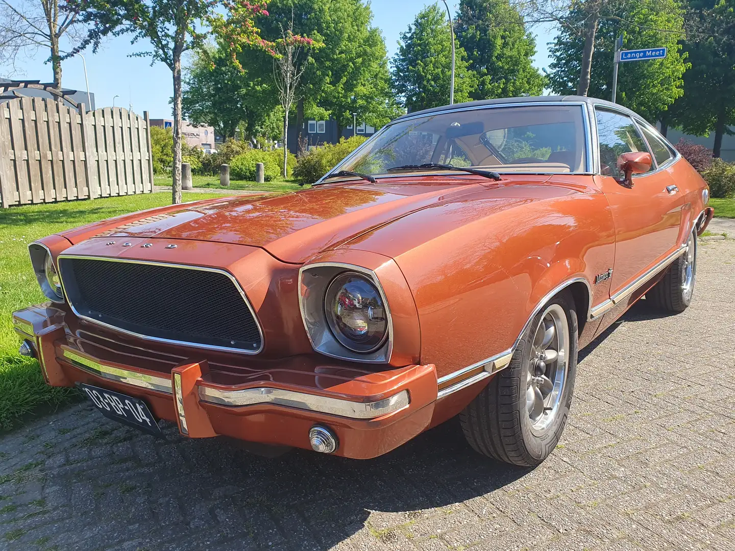 Ford Mustang Mustang II Braun - 2