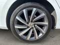 Skoda Octavia Wagon 2.0 tdi evo Style 150cv Bianco - thumbnail 10