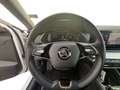 Skoda Octavia Wagon 2.0 tdi evo Style 150cv Bianco - thumbnail 15