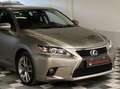 Lexus CT 200h 200H 99CH LUXE Gris - thumbnail 15