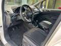 Ford EcoSport 1.0 EcoBoost 125 CV Titanium Bianco - thumbnail 5