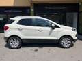 Ford EcoSport 1.0 EcoBoost 125 CV Titanium Bianco - thumbnail 3