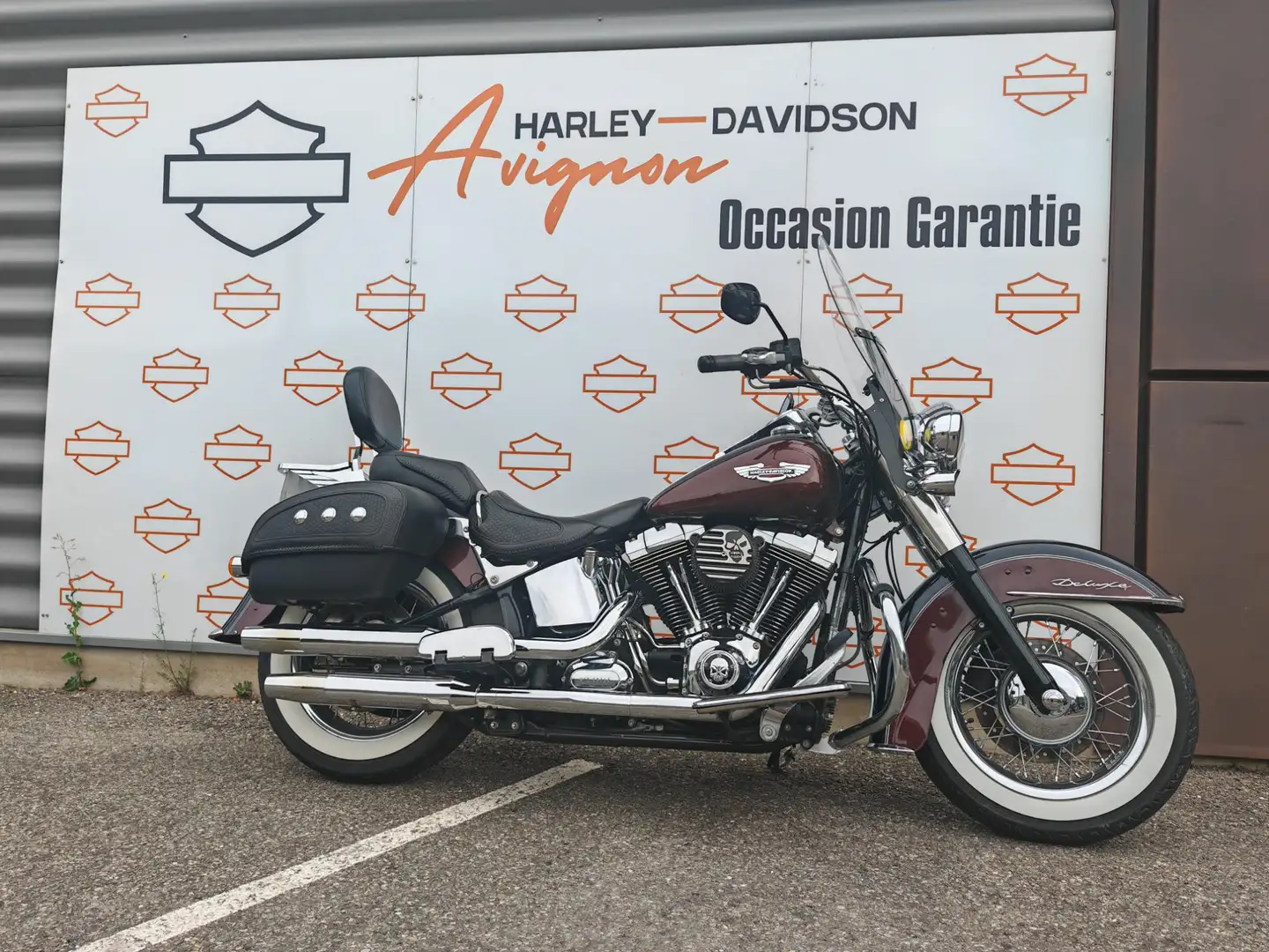 Harley-Davidson Softail - 1