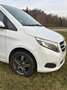 Mercedes-Benz V 250 BlueTEC  4Matic 7G-TRONIC Avantgarde Alb - thumbnail 10