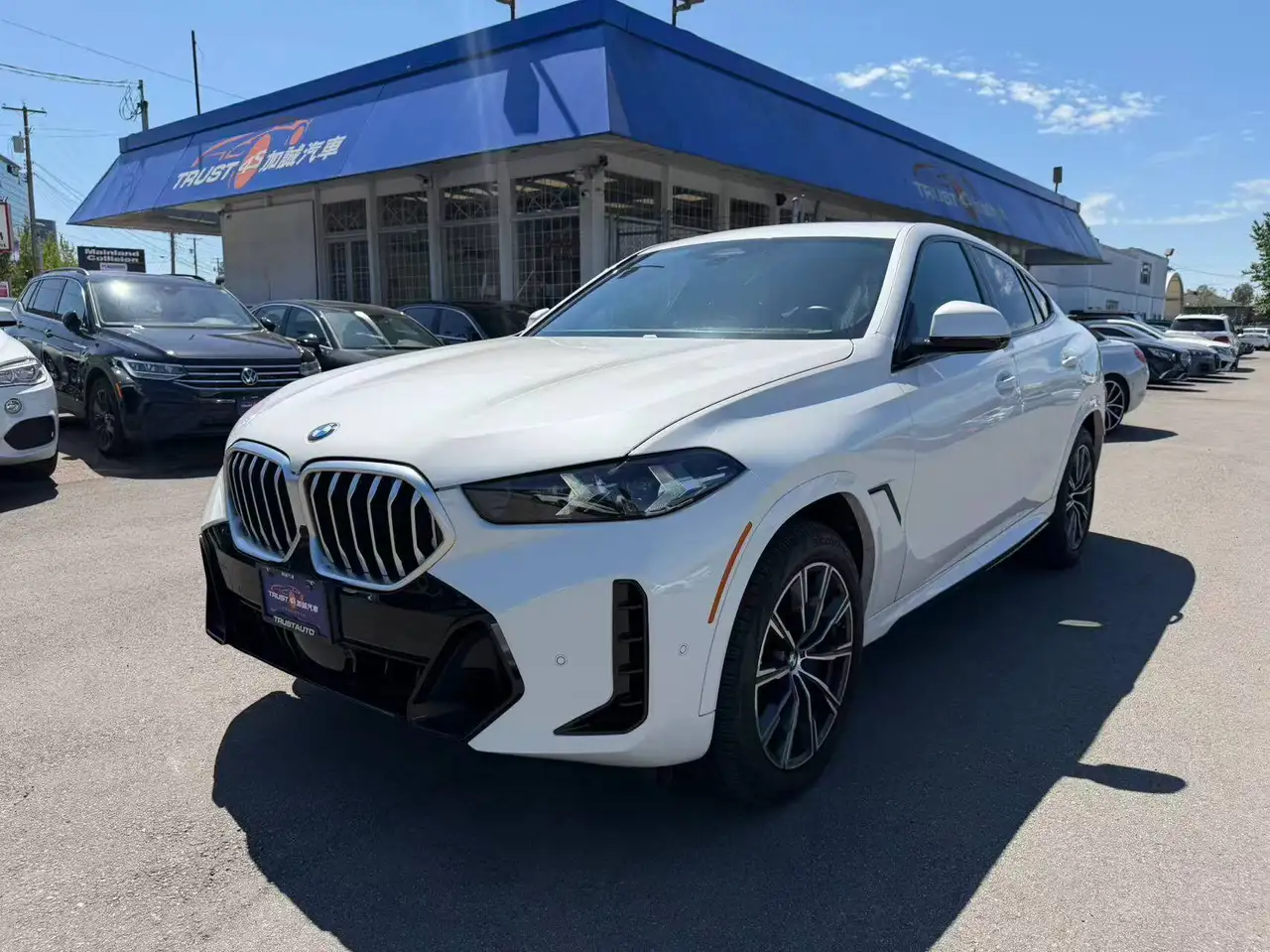 2024 BMW X6