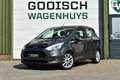 Ford B-Max 1.0 EcoBoost Titanium | Navi | Camera | Cruise | Grigio - thumbnail 1