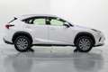 Lexus NX 300 300h Business Navigation 2WD Beyaz - thumbnail 7