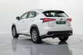 Lexus NX 300 300h Business Navigation 2WD Beyaz - thumbnail 9