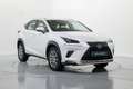 Lexus NX 300 300h Business Navigation 2WD Beyaz - thumbnail 3