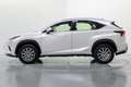 Lexus NX 300 300h Business Navigation 2WD Beyaz - thumbnail 8
