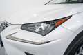 Lexus NX 300 300h Business Navigation 2WD Beyaz - thumbnail 10